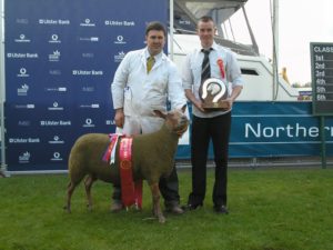 Balmoral Supreme Champion - Michael Graham - Shearling Ewe